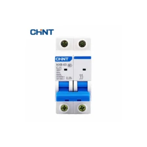 Chint MCB NXB-63 C Double Pole 6 kA Circuit Breaker